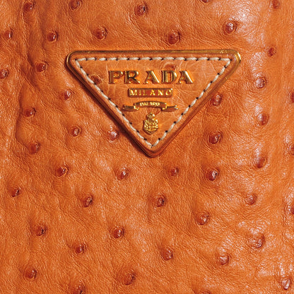 Prada Ostrich Executive Tote Cognac 5 of 12