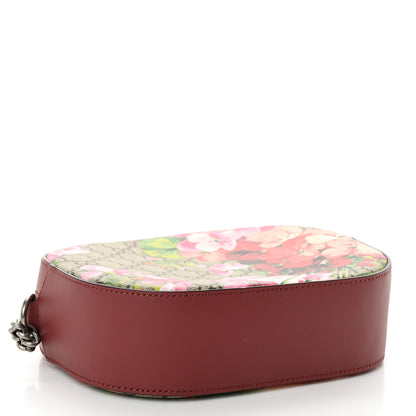 Gucci GG Supreme Monogram Blooms Mini Chain Shoulder Bag Beige Multicolor Dry Rose 4 of 10