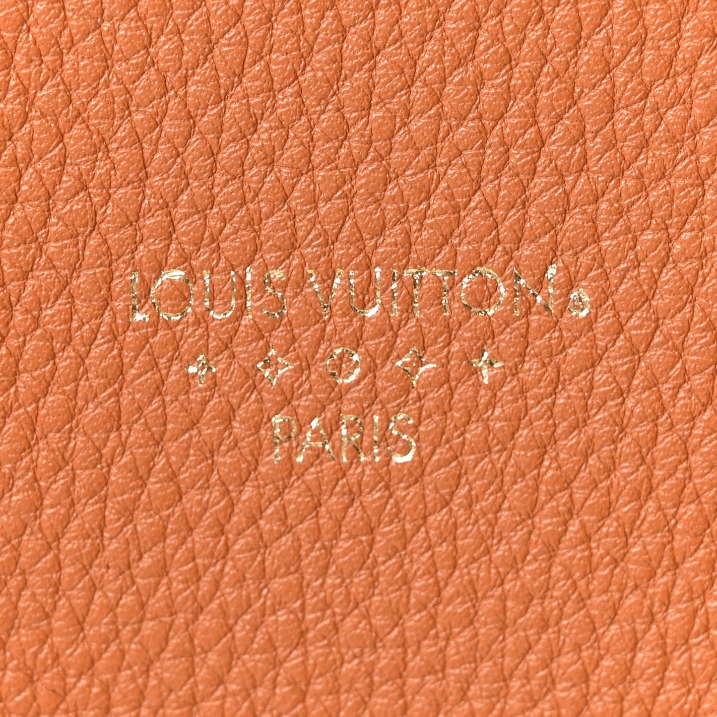 Grained Calfskin LV Pont 9 Soft MM Golden Siena