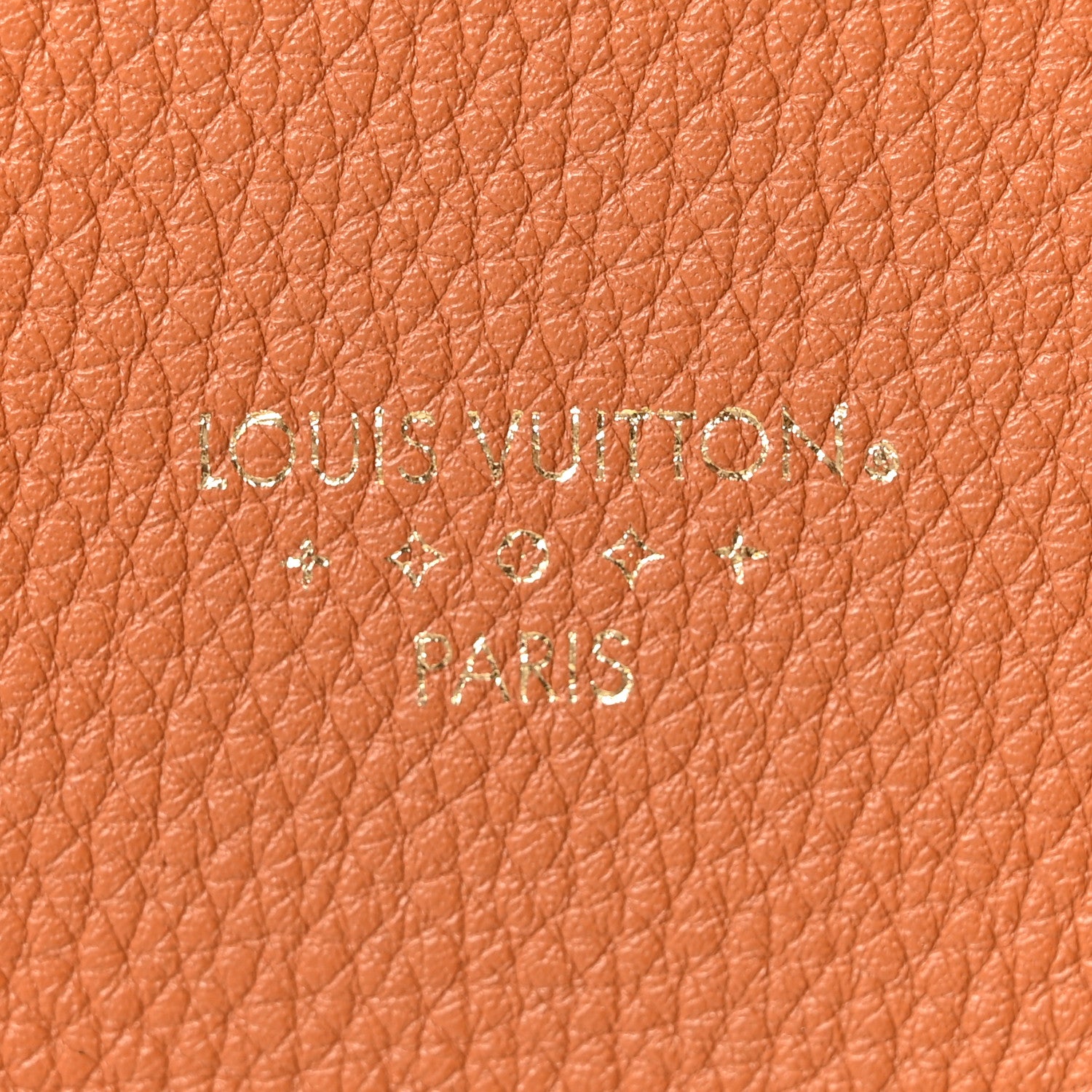 Louis Vuitton Grained Calfskin LV Pont 9 Soft MM Golden Siena 6 of 9