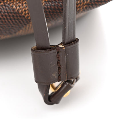 Louis Vuitton Damier Ebene Neverfull MM 18 of 20