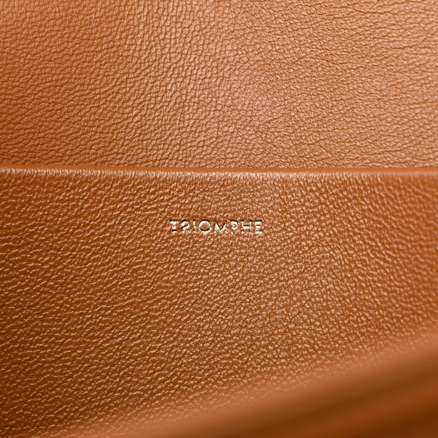Celine Textile Calfskin Classique Triomphe Bag Natural Tan 9 of 12