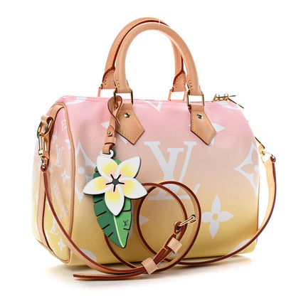 Louis Vuitton Monogram Giant By The Pool Speedy Bandouliere 25 Light Pink 2 of 4