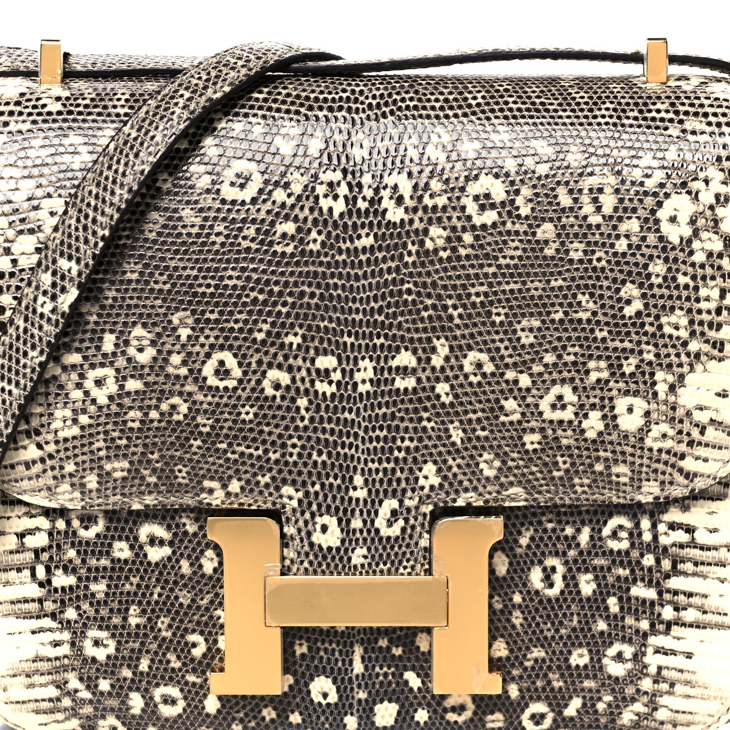 Hermes Lizard Constance 18 Ombre 9 of 12