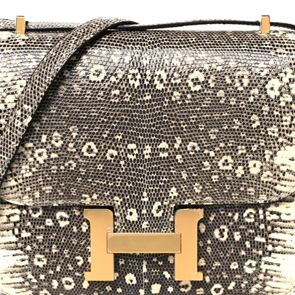 Hermes Lizard Constance 18 Ombre 9 of 12