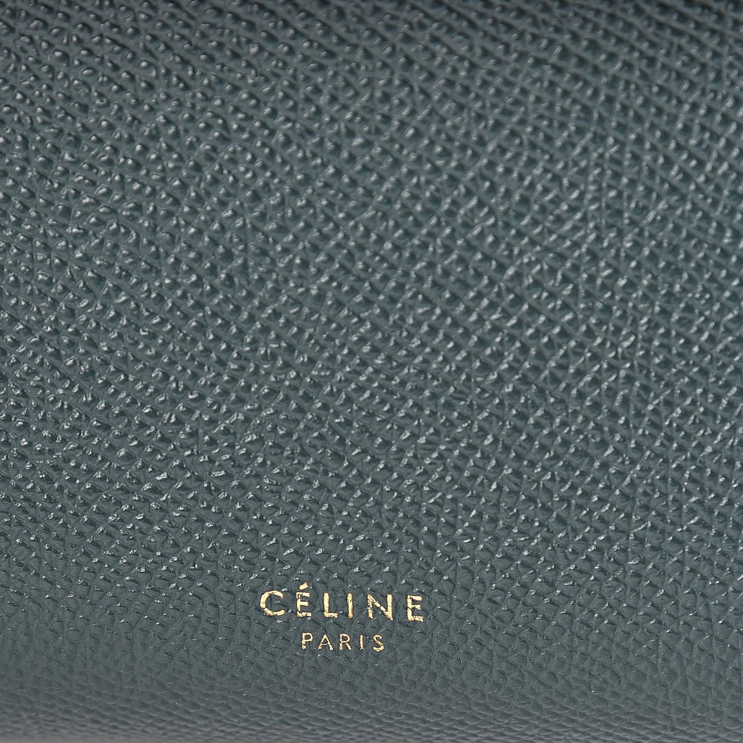 Grained Calfskin Nano Belt Bag Amazone