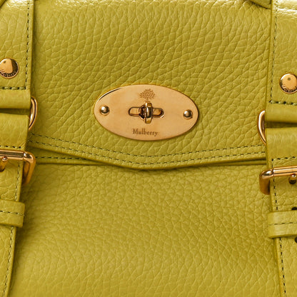 Mulberry Heavy Grain Mini Alexa Meadow Green 7 of 9