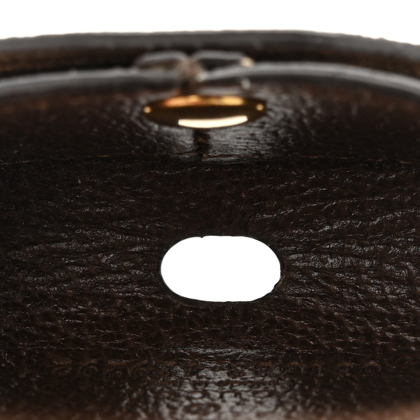 GG Supreme Monogram Ophidia AirPods Pro Case