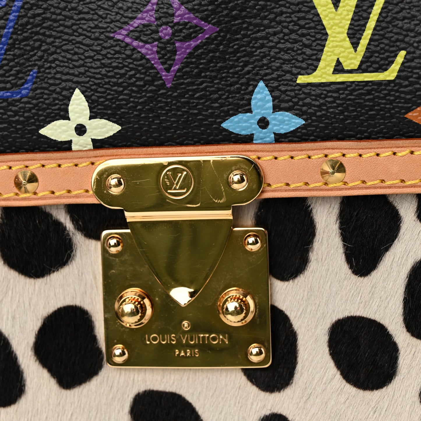 Monogram Multicolor Dalmatian Pochette