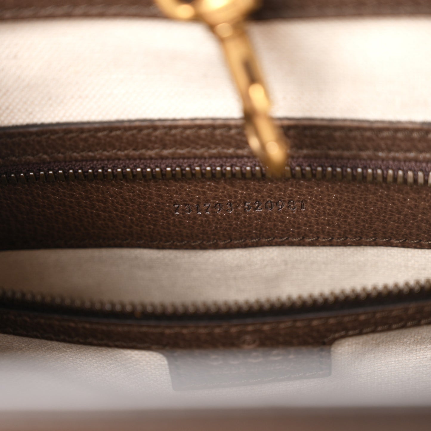 GG Supreme Monogram Web Textured Dollar Calfskin Medium Ophidia Tote Brown