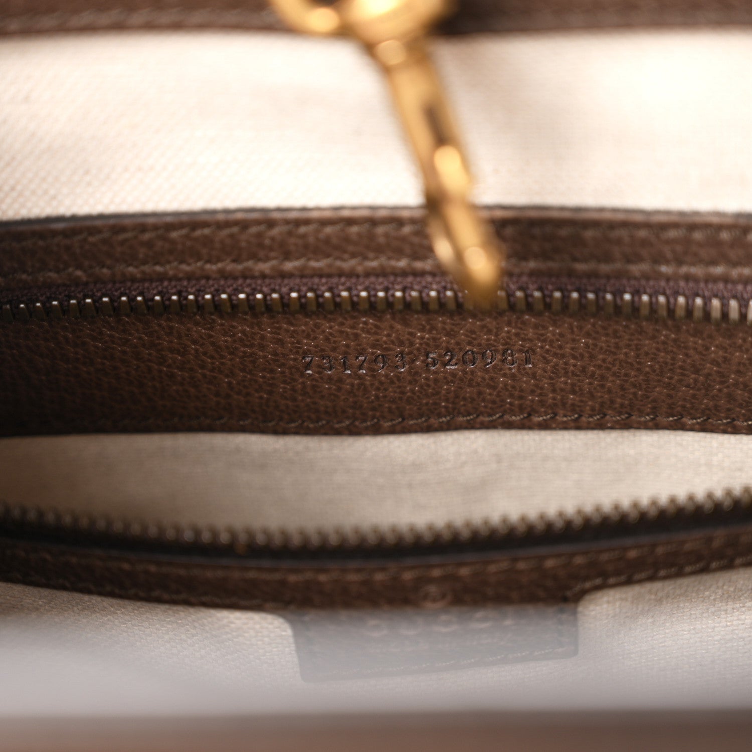 Gucci GG Supreme Monogram Web Textured Dollar Calfskin Medium Ophidia Tote Brown 7 of 10