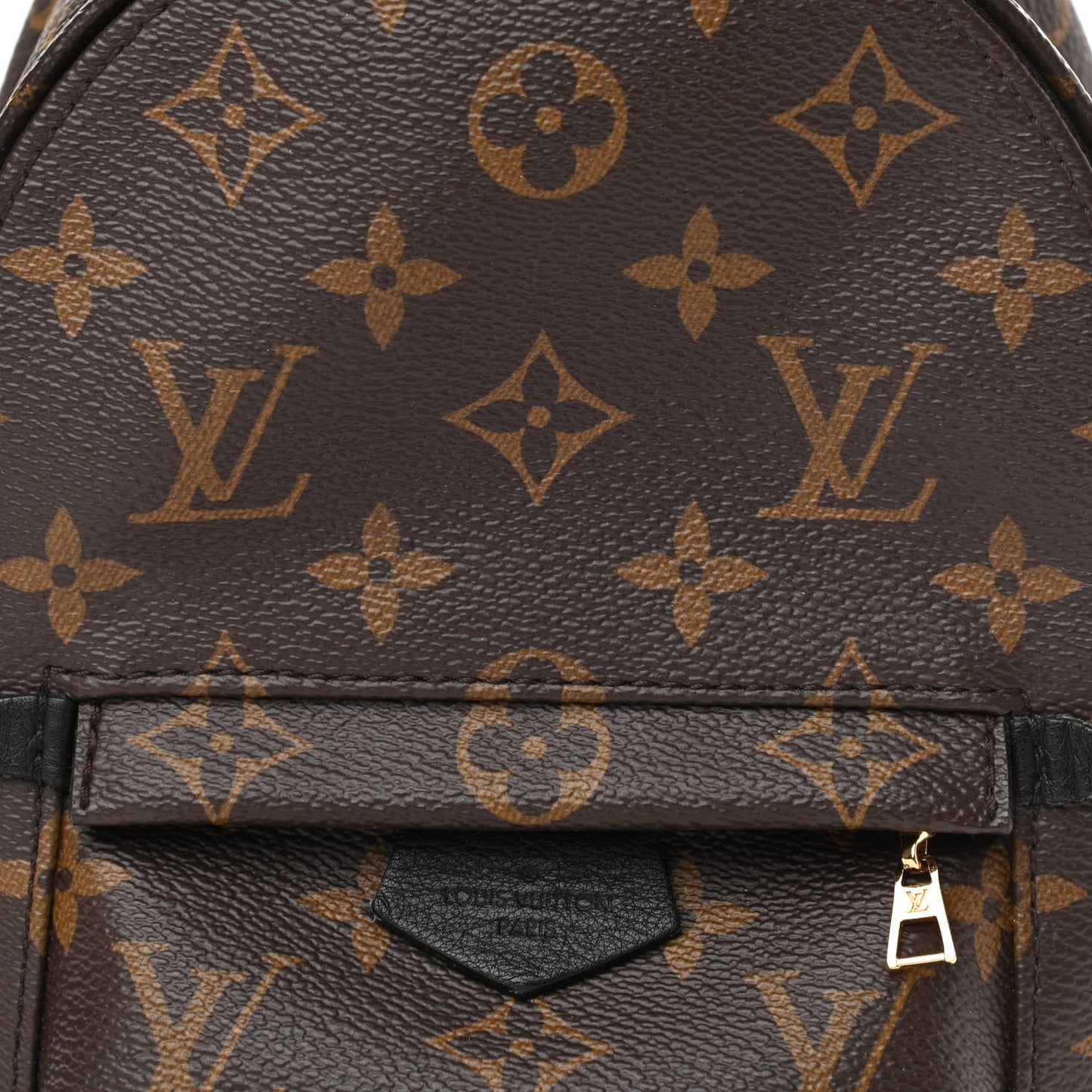 Monogram Palm Springs Backpack Mini