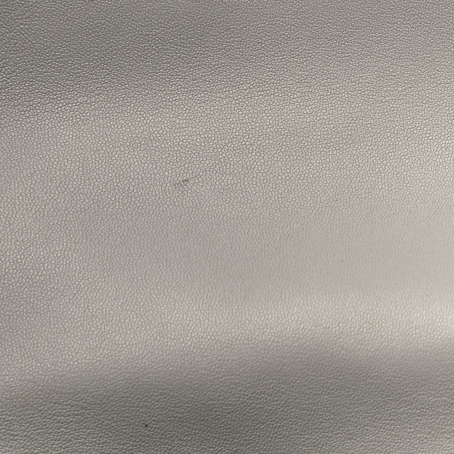 Lambskin Quilted Medium Chanel 19 Flap Grey