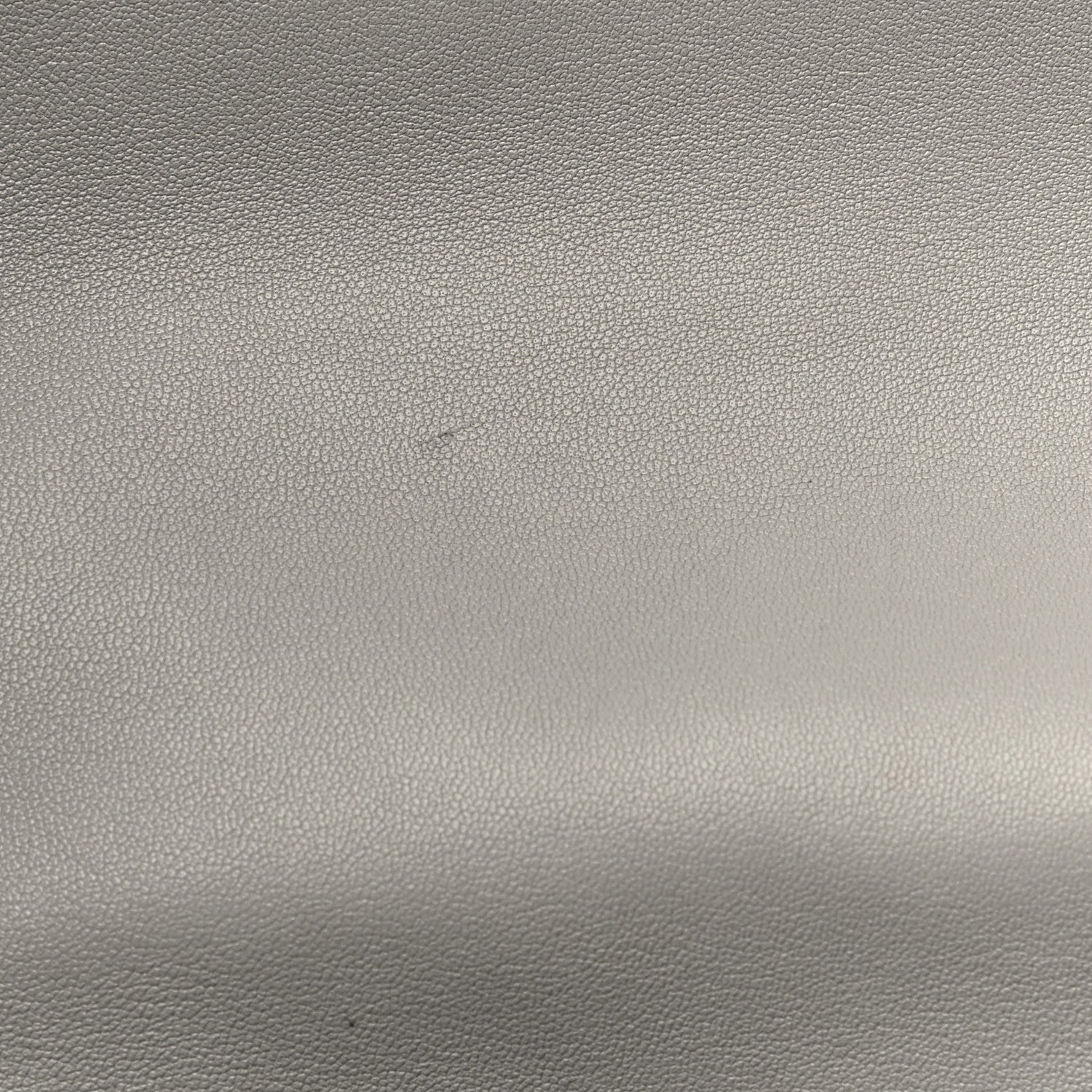Chanel Lambskin Quilted Medium Chanel 19 Flap Grey 10 of 11