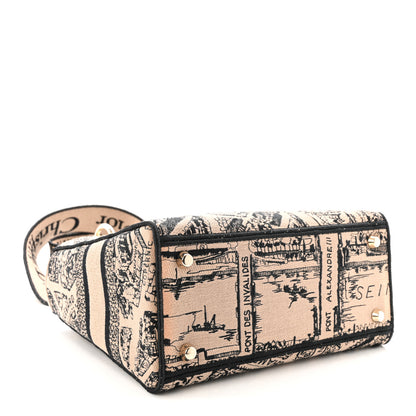 Christian Dior Canvas Embroidered Medium Plan de Paris Lady D-Lite Beige Black 4 of 9