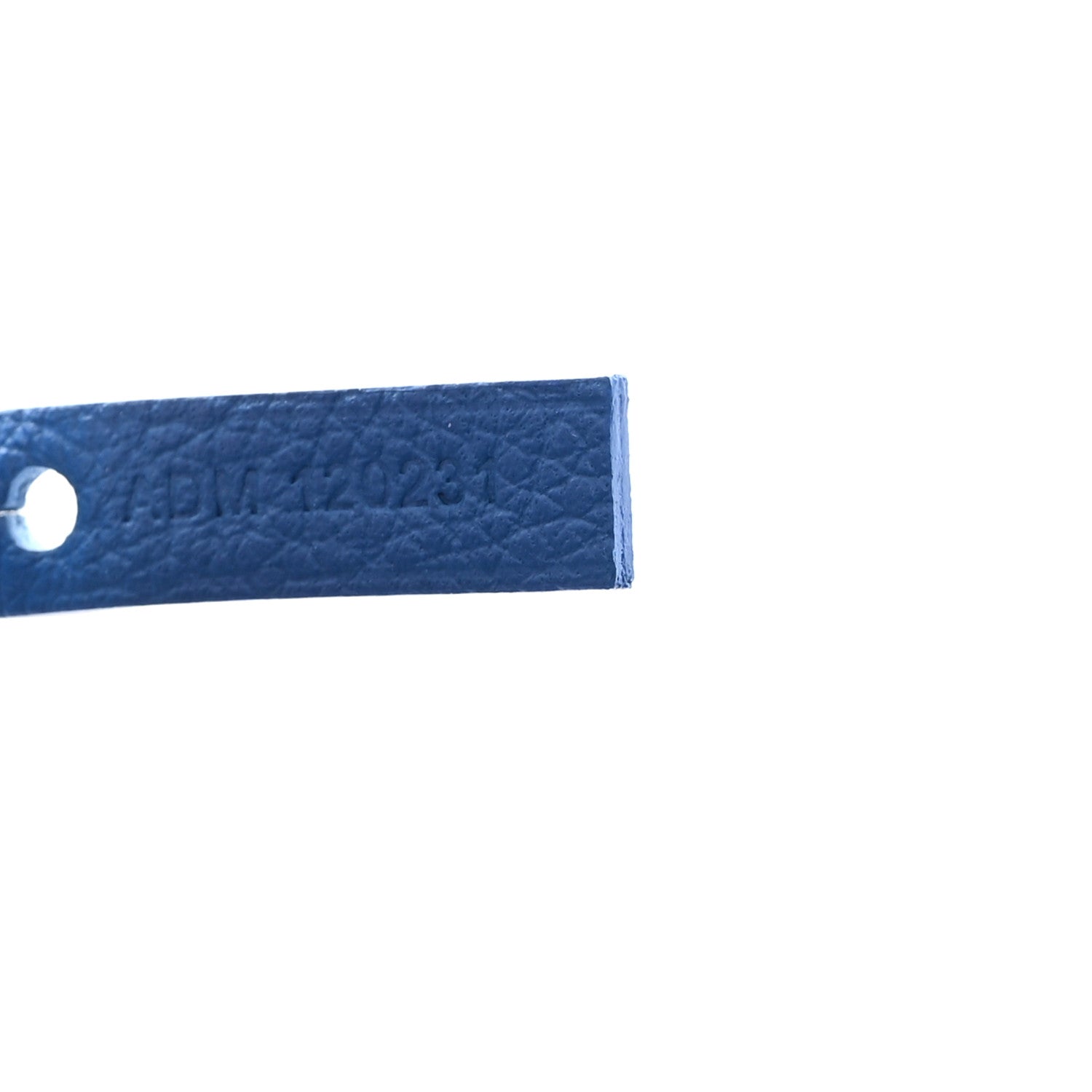 Goyard Goyardine Saint Louis PM Sky Blue 8 of 11
