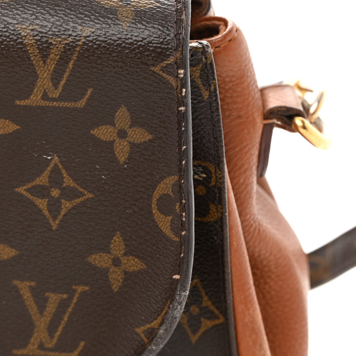Monogram Eden MM Camel