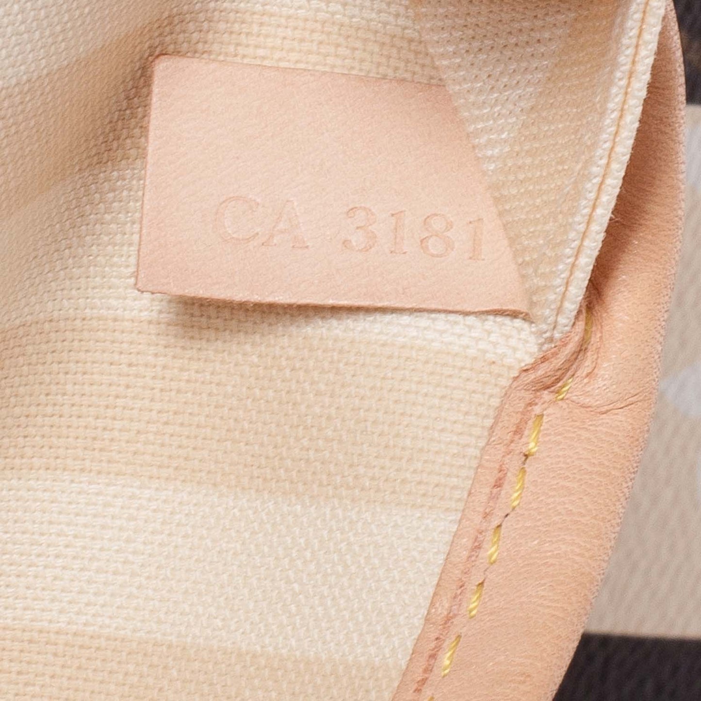 Monogram Rayures Neverfull MM