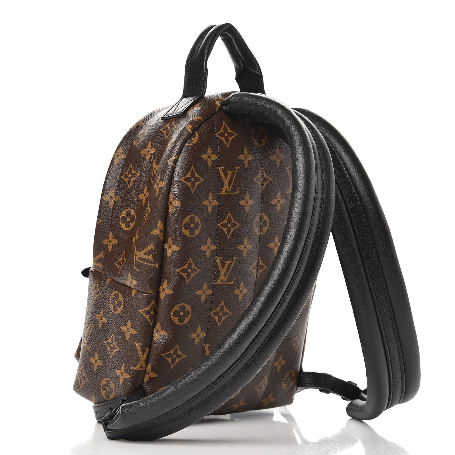 Louis Vuitton Monogram Palm Springs Backpack PM 3 of 9