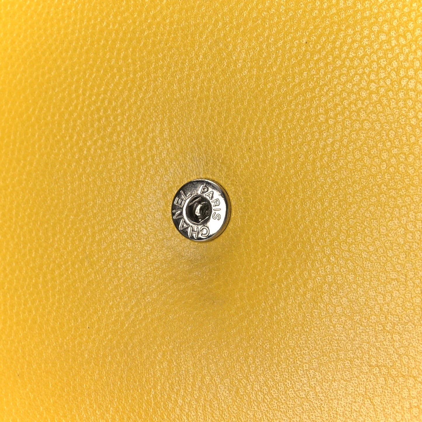 Caviar Sevruga Wallet on Chain WOC Yellow