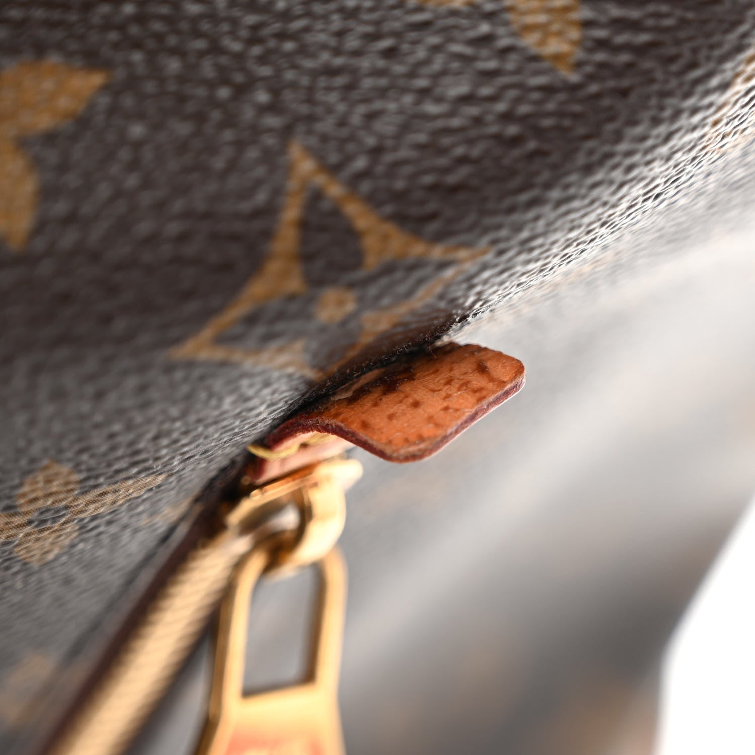 Louis Vuitton Monogram Delightful GM 15 of 17