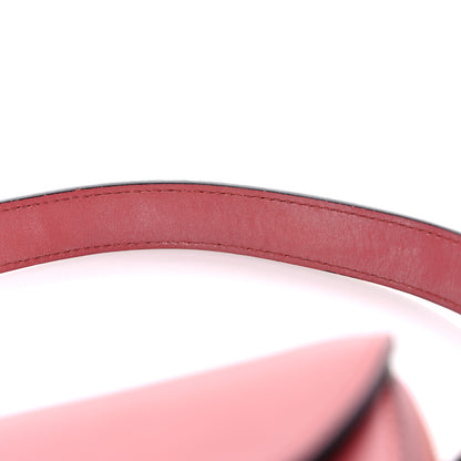 Christian Dior Calfskin Saddle Bag Pink 11 of 12