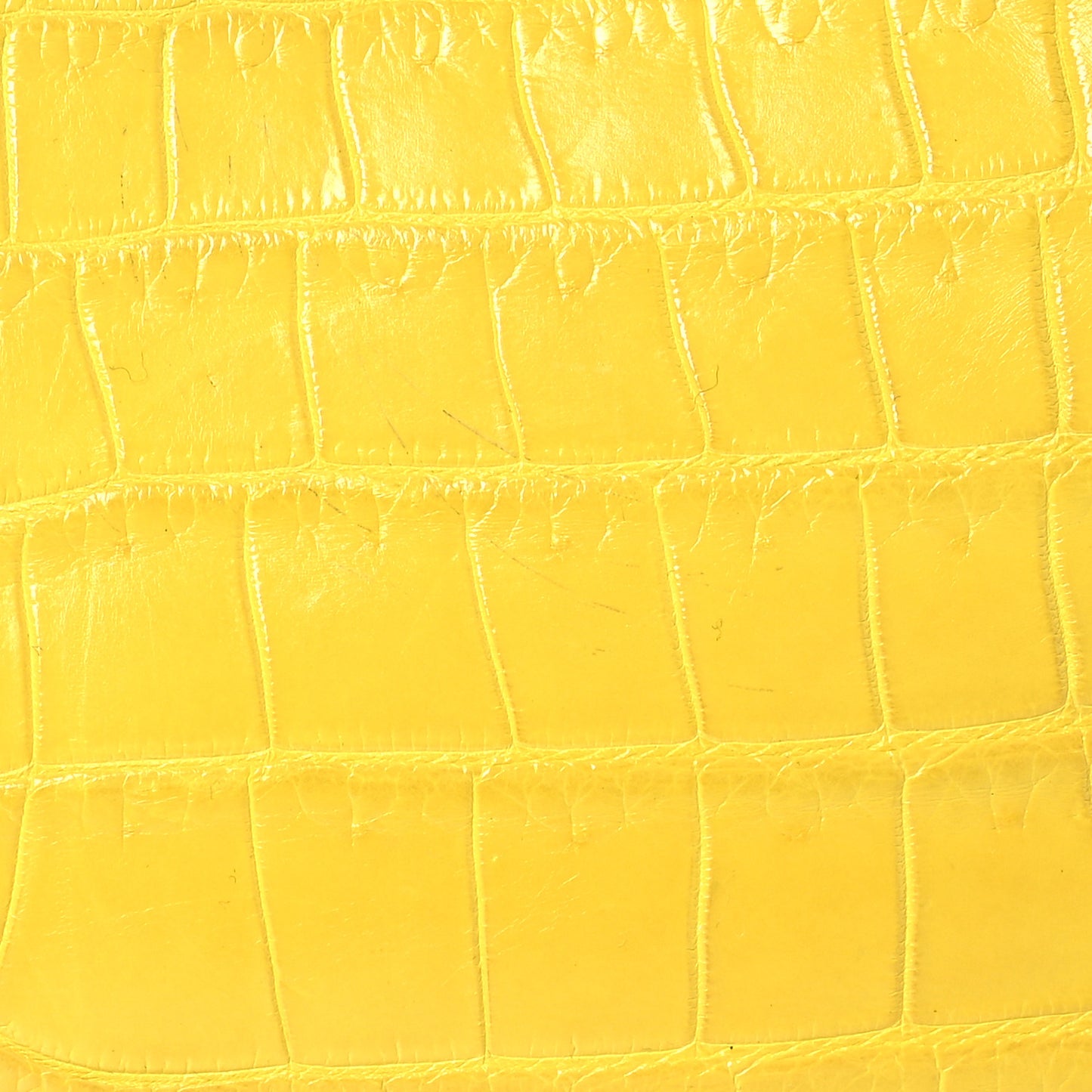 Crocodile Large Diorissimo Yellow