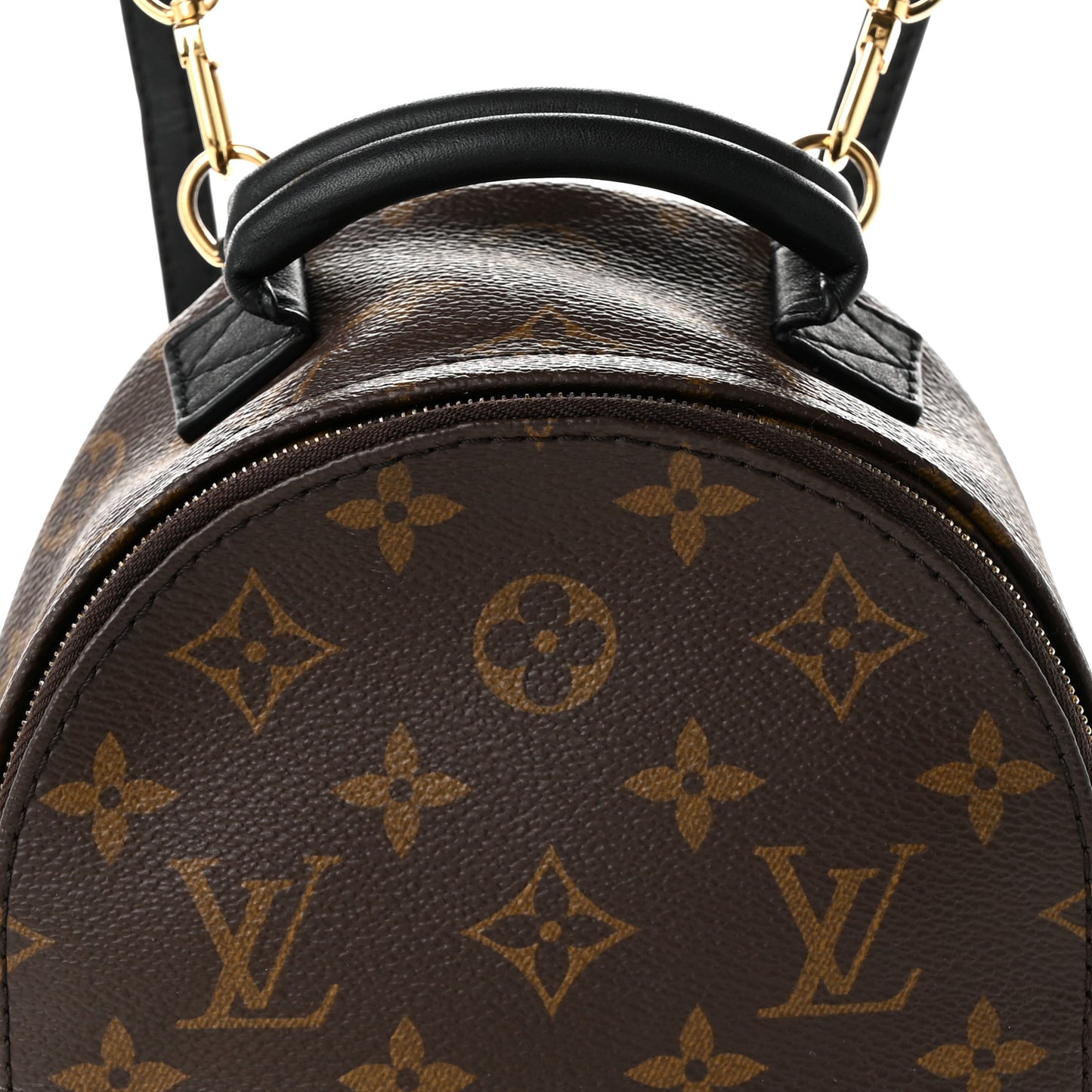 Monogram Palm Springs Backpack Mini