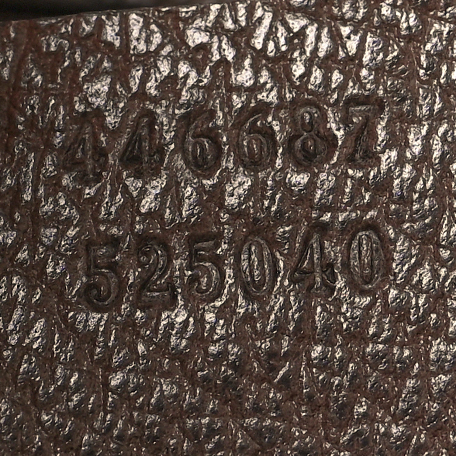 Gucci GG Supreme Monogram Web Medium Dionysus Hobo Brown 7 of 10