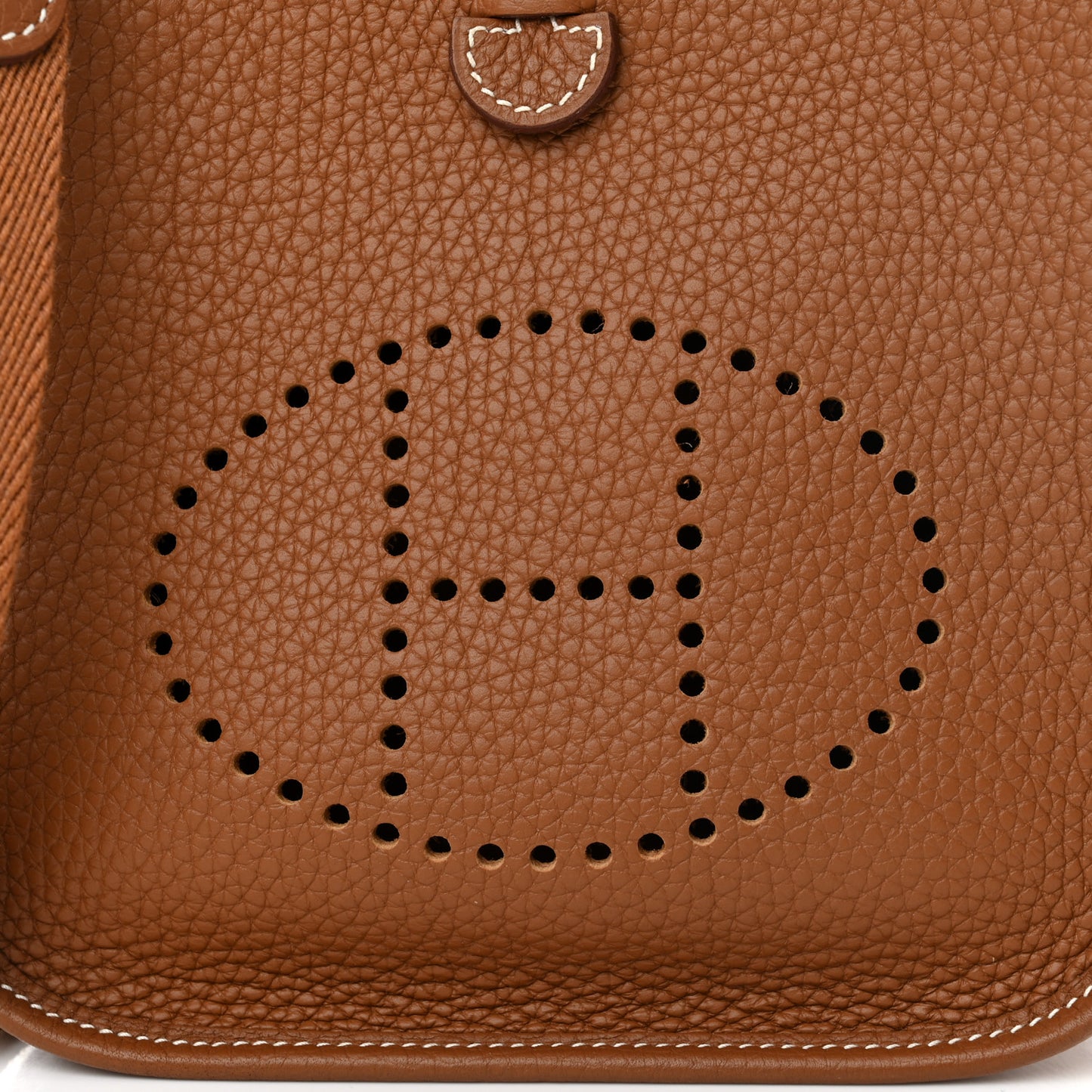 Taurillon Clemence Evelyne TPM Gold