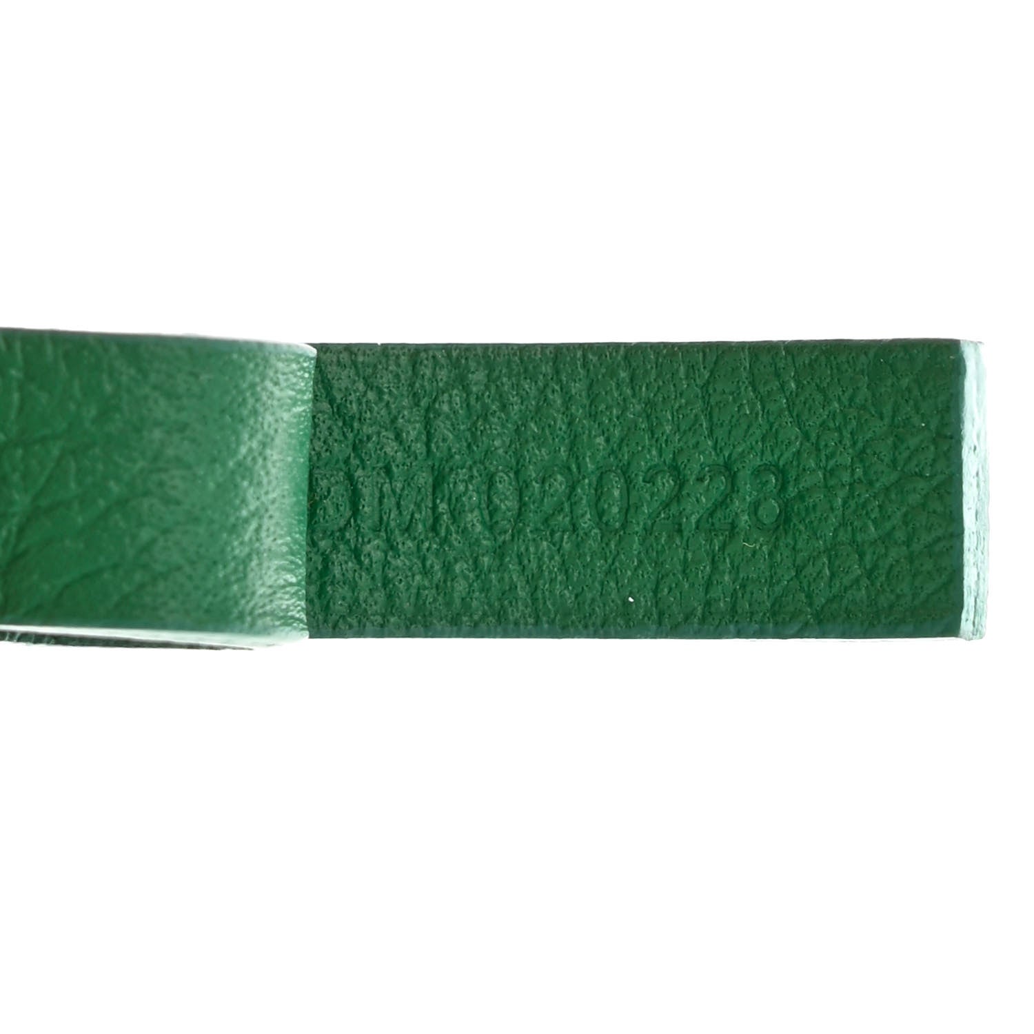 Goyard Goyardine Saint Louis PM Green 9 of 12