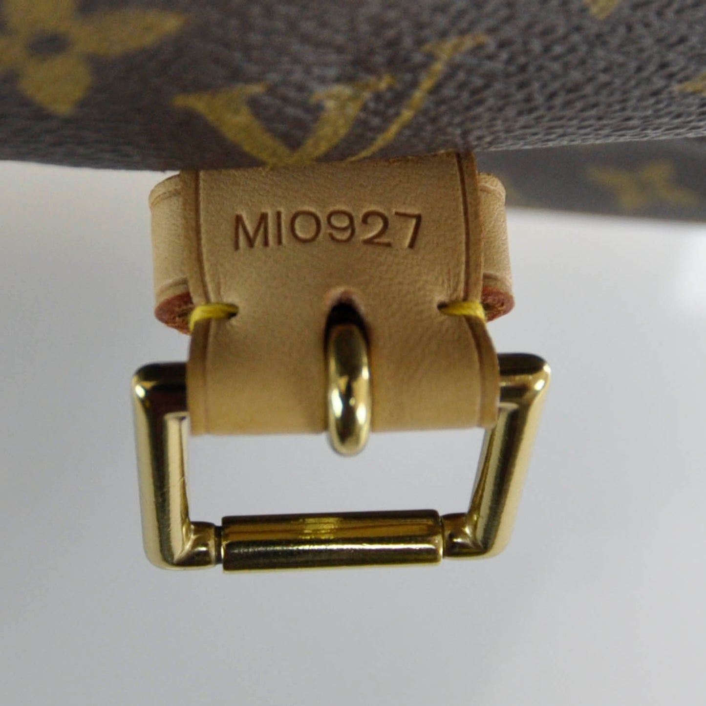 Monogram Montsouris GM Backpack
