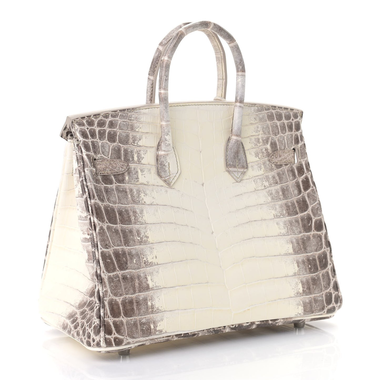 Matte Niloticus Crocodile Himalaya Birkin 25 Blanc