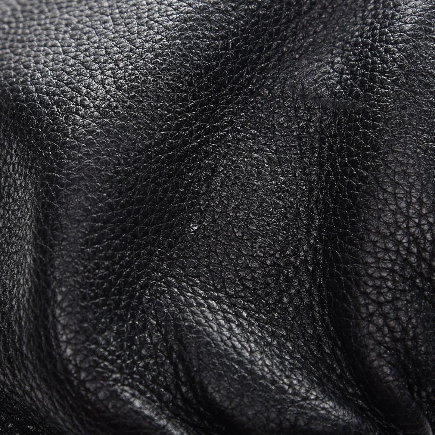 Pebbled Calfskin Medium Jungle Hobo Black