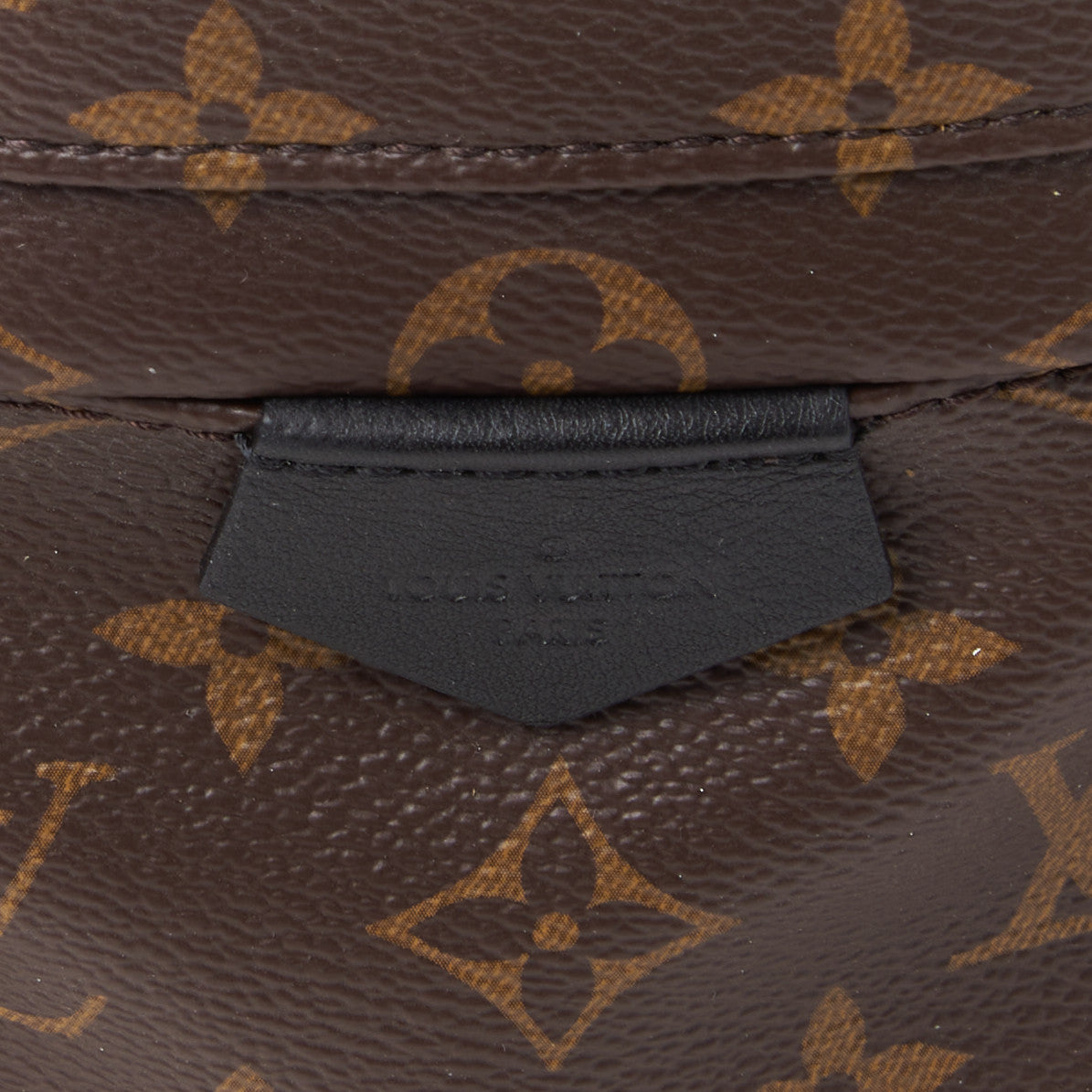 Louis Vuitton Monogram Palm Springs Backpack PM 8 of 9