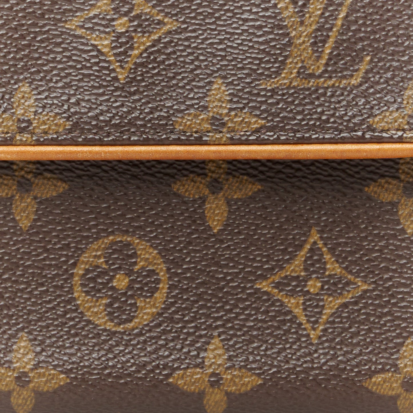 Monogram Pochette Florentine XS