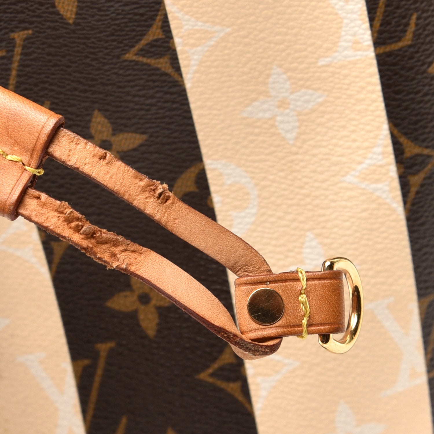 Louis Vuitton Monogram Rayures Neverfull MM 9 of 9