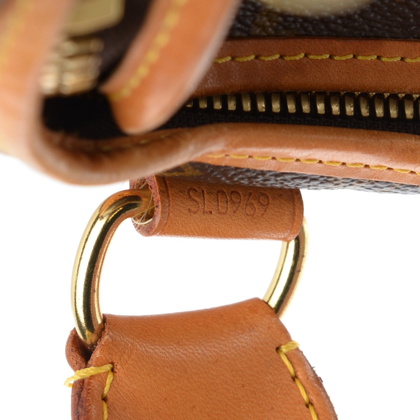 Monogram Sac Chien 40 Pet Carrier