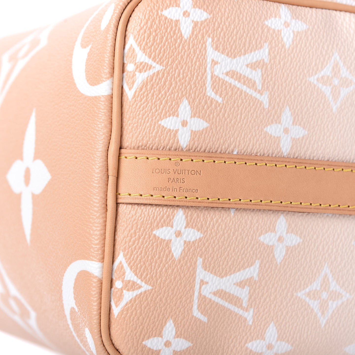 Monogram Giant By The Pool Speedy Bandouliere 25 Brume