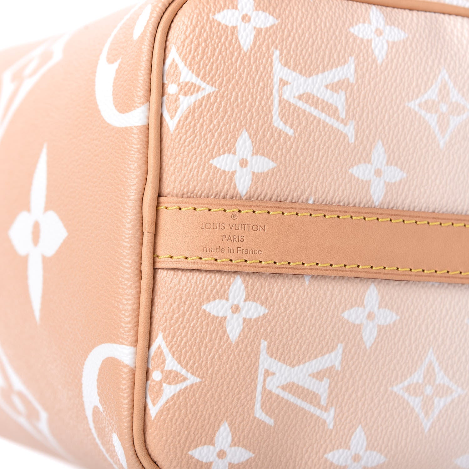 Louis Vuitton Monogram Giant By The Pool Speedy Bandouliere 25 Brume 9 of 13