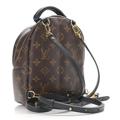 Louis Vuitton Monogram Palm Springs Backpack Mini 2 of 16