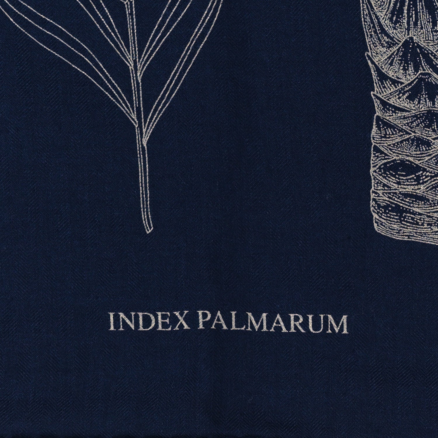 Hermes Cashmere Silk Index Palmarum Finesse Shawl 140 Marine White 5 of 5