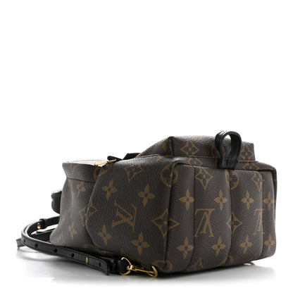 Louis Vuitton Monogram Palm Springs Backpack Mini 4 of 12