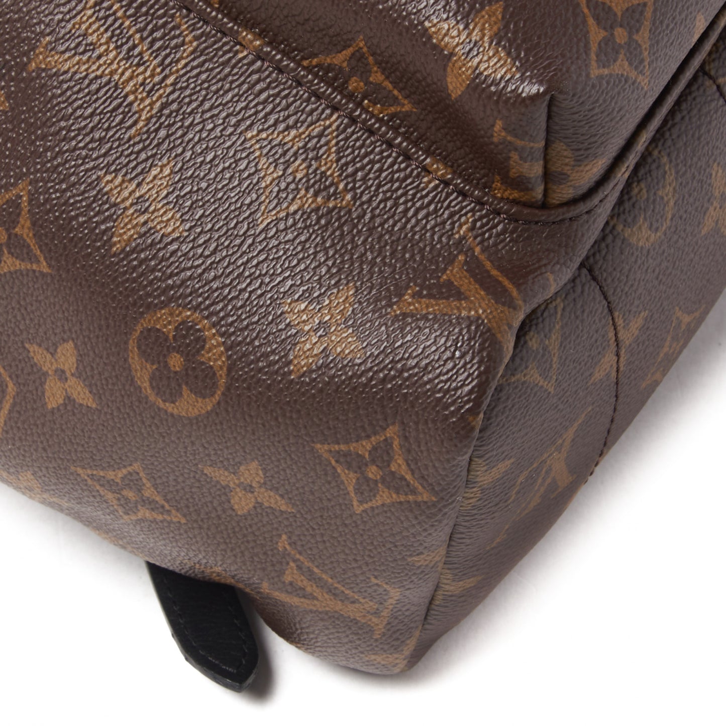 Monogram Palm Springs Backpack MM