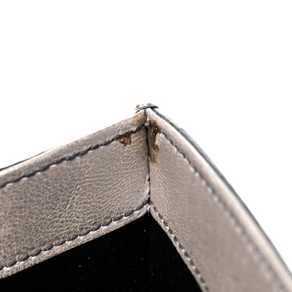 Saint Laurent Ombre Lizard Muse Clutch Silver 13 of 14