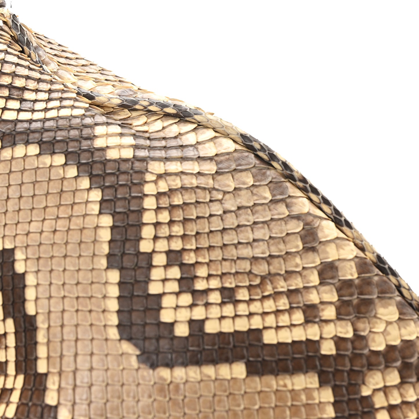 Snakeskin Logo Hobo Roccia