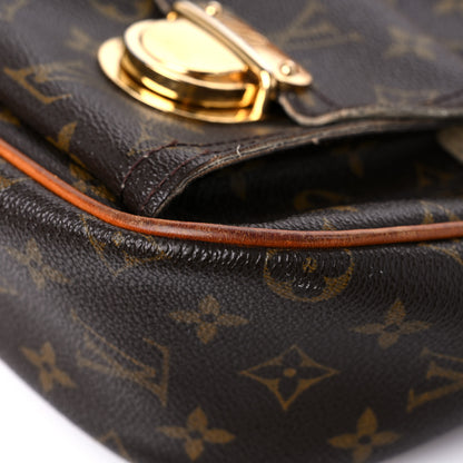 Louis Vuitton Monogram Hudson GM 8 of 20