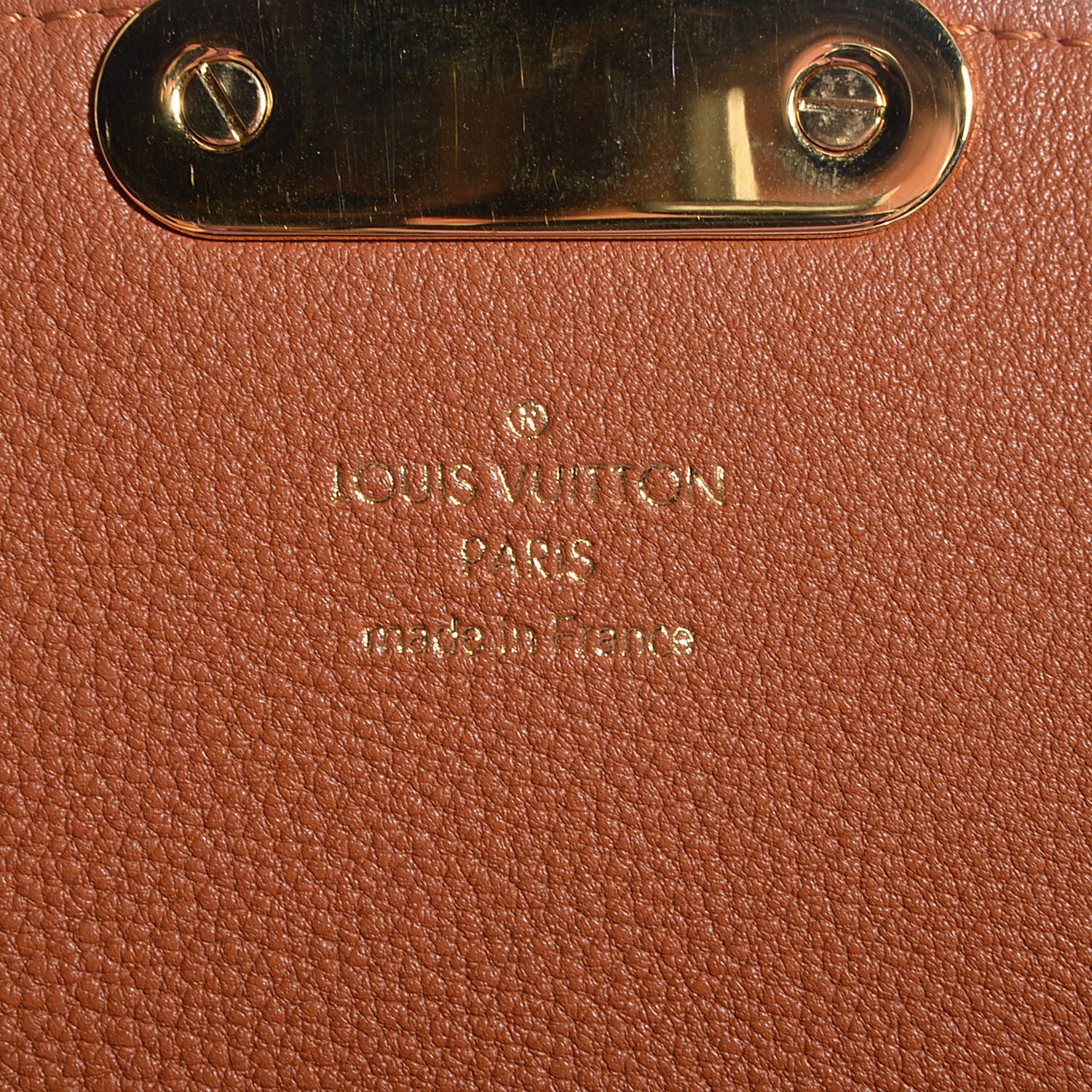 Louis Vuitton Monogram Eden MM Camel 6 of 8