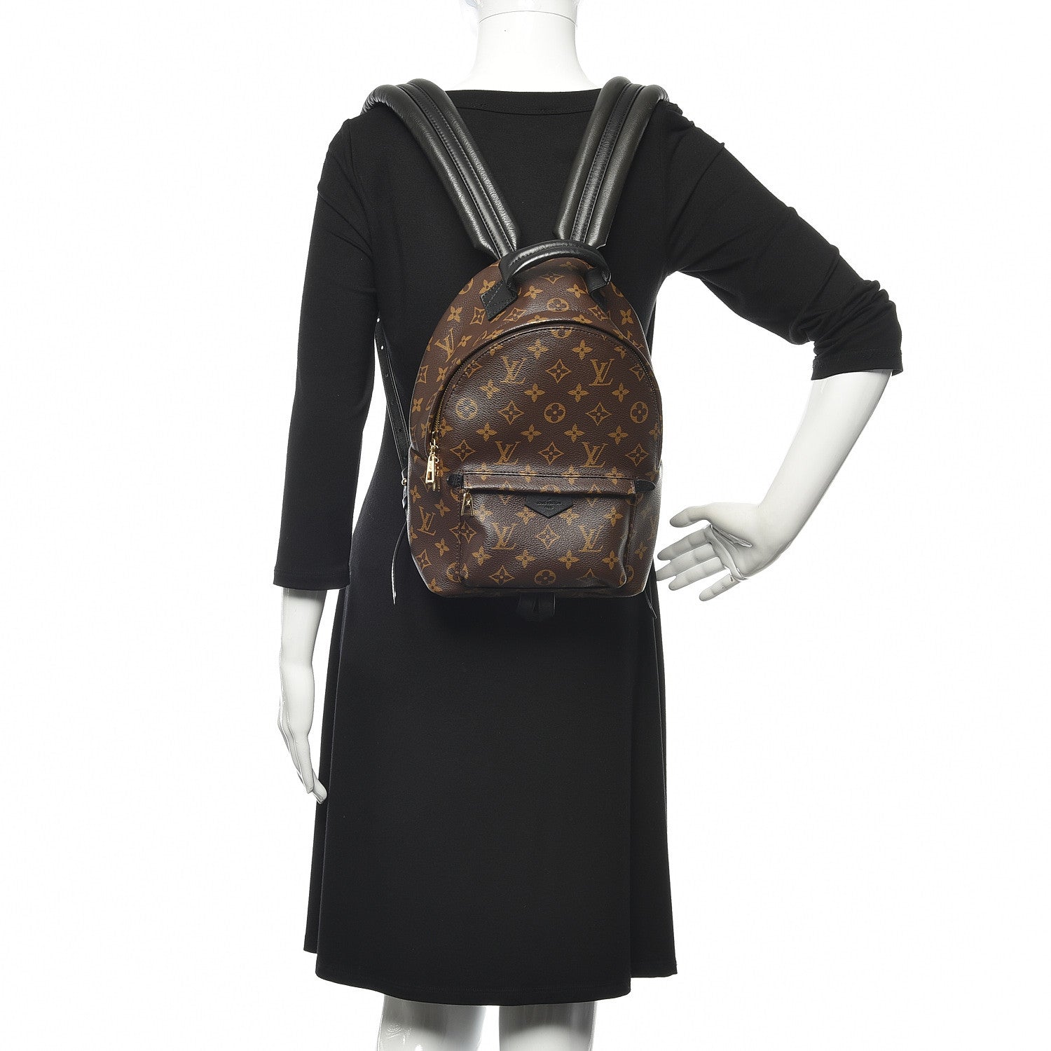 Louis Vuitton Monogram Palm Springs Backpack PM 2 of 9