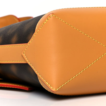 Louis Vuitton Monogram Blurry Hobo Cruiser PM 7 of 8